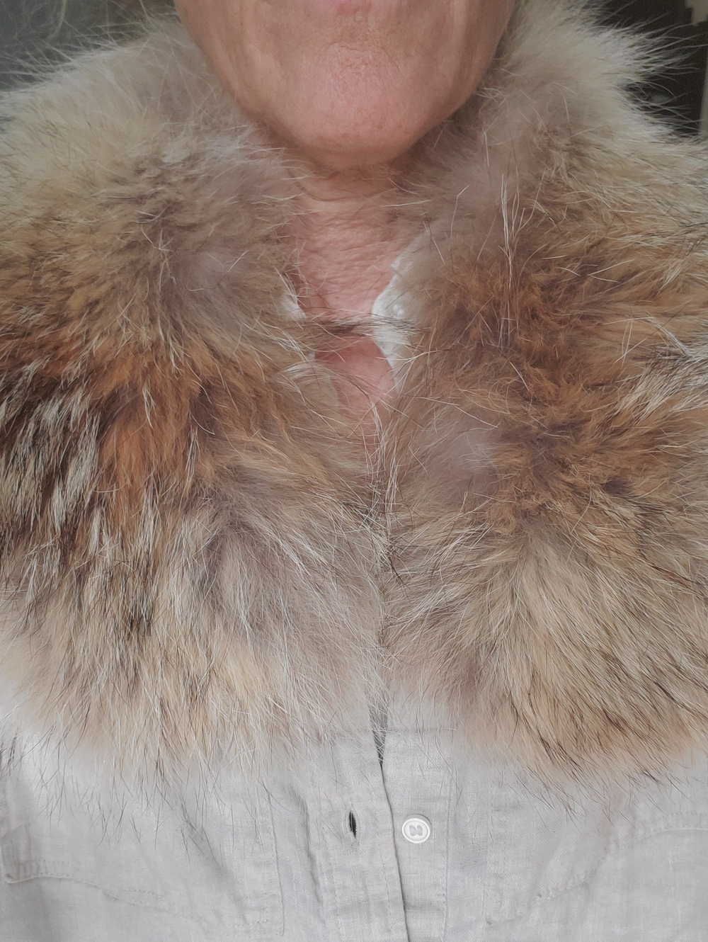 Coyote Fur Collar Scarf